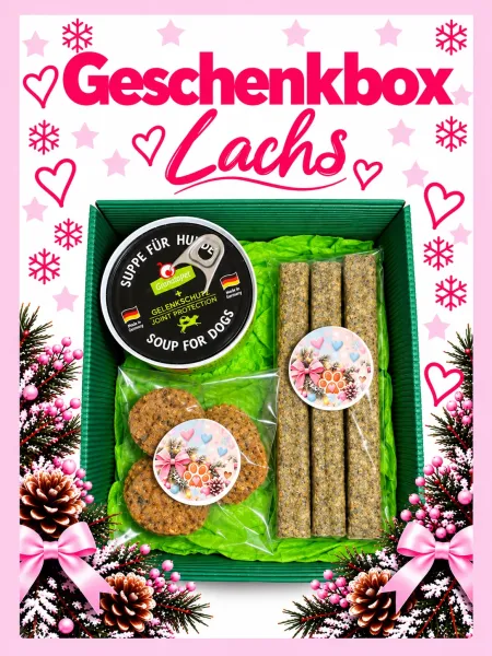 Nikolausbox bzw. weihnachtliche Geschenkbox